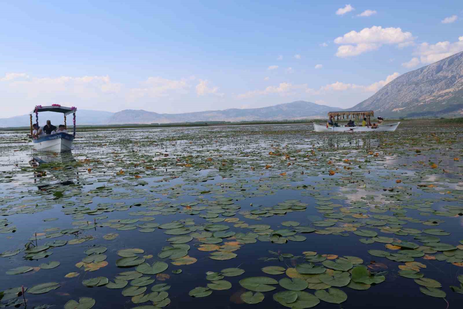 gecen yil kuraklik bu yil ise asiri yagislar niluferlerin gorsel solenini geciktirdi 4 WyJ1OOJ6