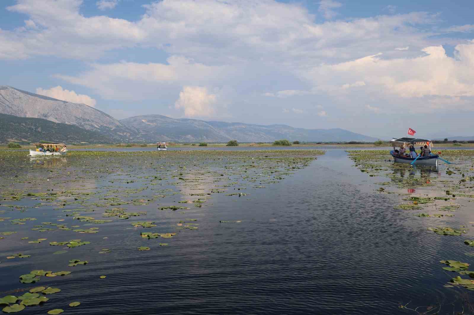 gecen yil kuraklik bu yil ise asiri yagislar niluferlerin gorsel solenini geciktirdi 5 gN9uNdjv