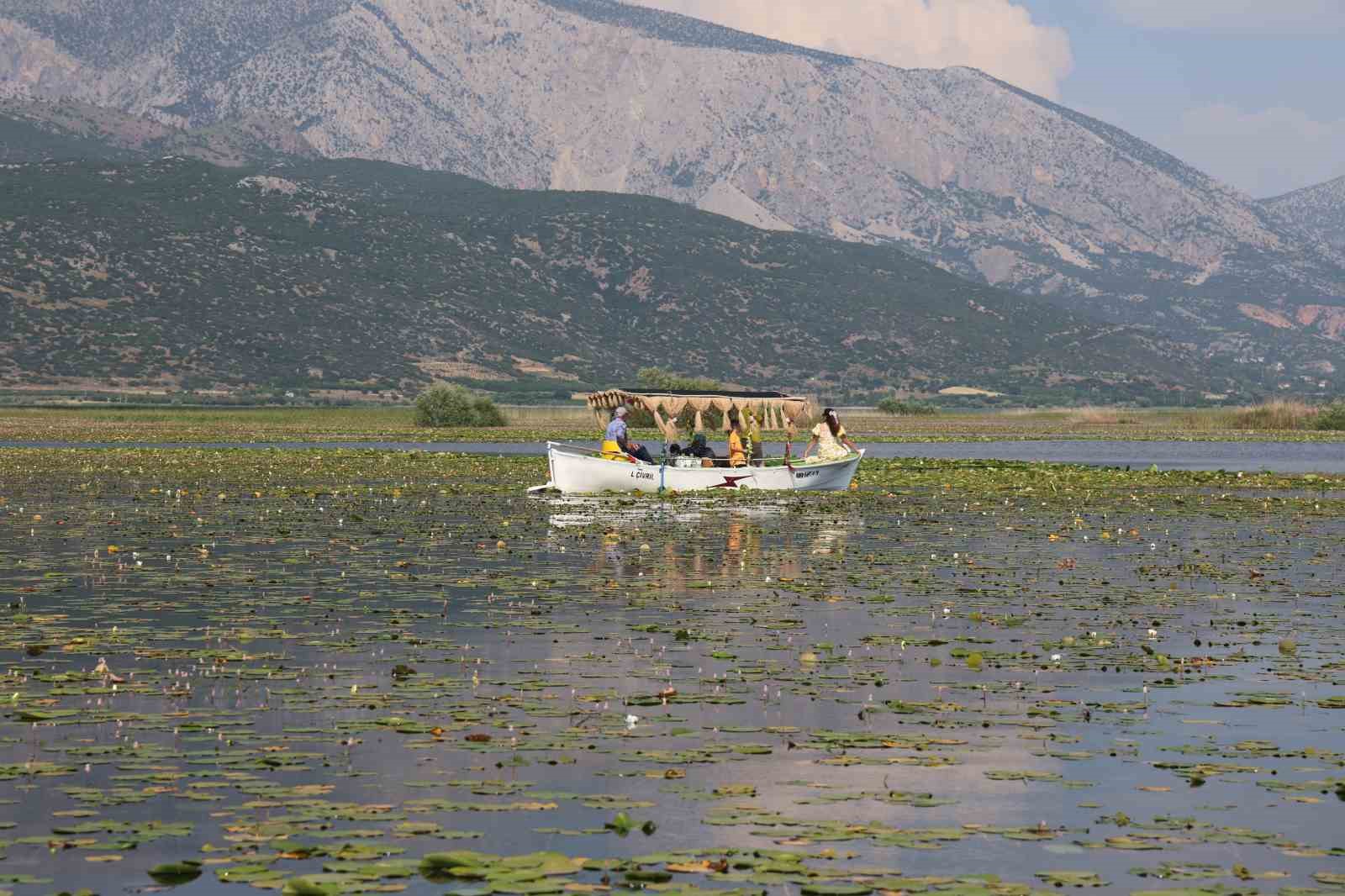 gecen yil kuraklik bu yil ise asiri yagislar niluferlerin gorsel solenini geciktirdi 7 ikZbjgHy