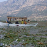 gecen-yil-kuraklik-bu-yil-ise-asiri-yagislar-niluferlerin-gorsel-solenini-geciktirdi-rlcapmdr.jpg
