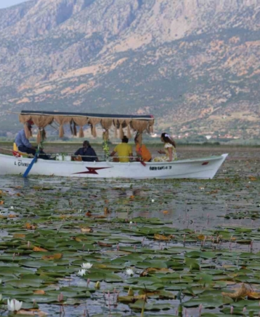 gecen-yil-kuraklik-bu-yil-ise-asiri-yagislar-niluferlerin-gorsel-solenini-geciktirdi-rlcapmdr.jpg