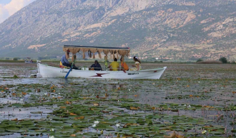 gecen-yil-kuraklik-bu-yil-ise-asiri-yagislar-niluferlerin-gorsel-solenini-geciktirdi-rlcapmdr.jpg