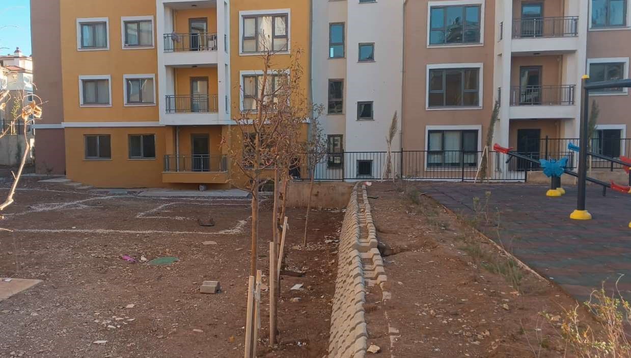 gecen yil kuruyan agaclar kasim ayinda cicek acti 4