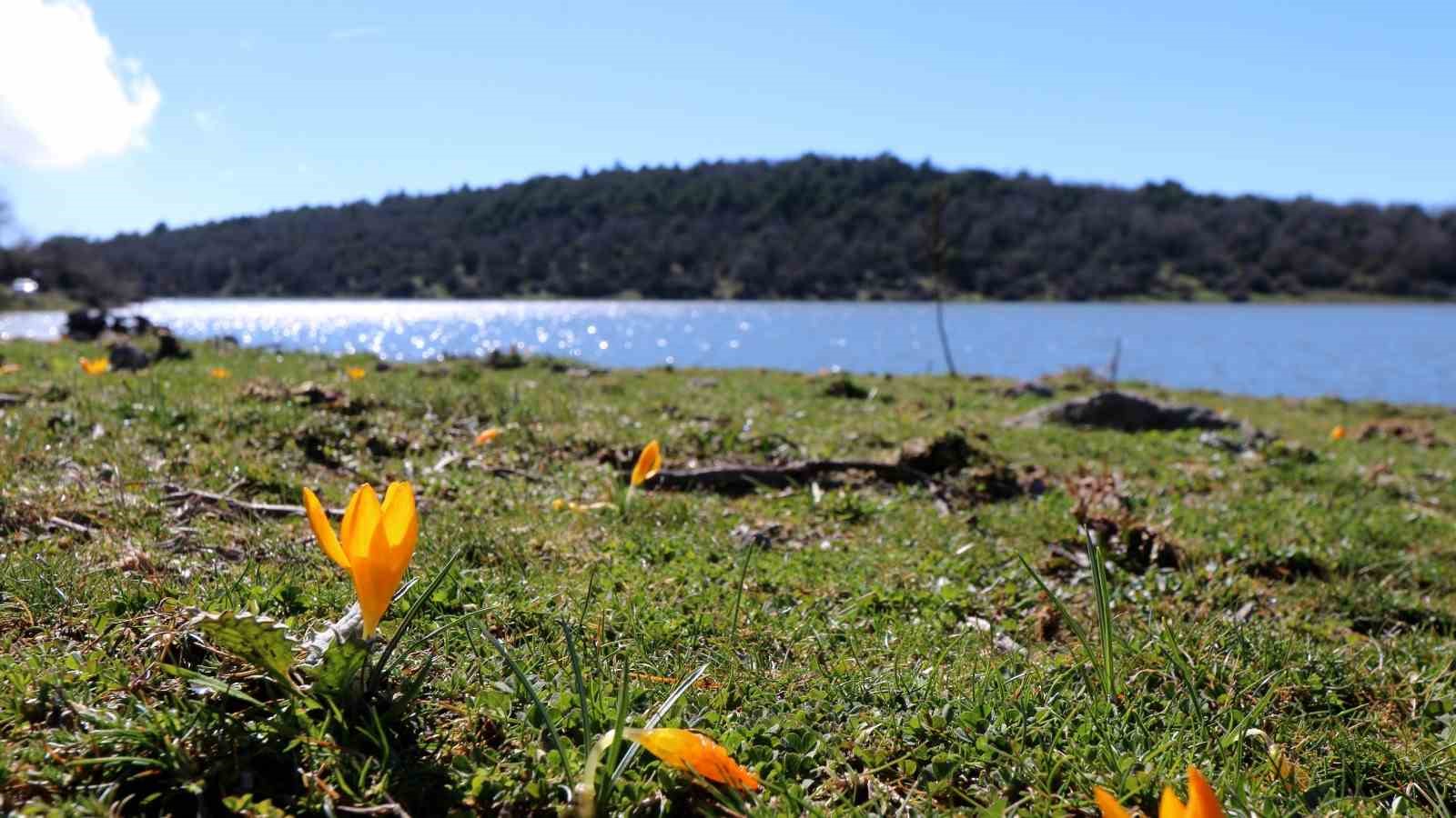 gecen yil tamamen kuruyan tepegol yeniden su tuttu 2