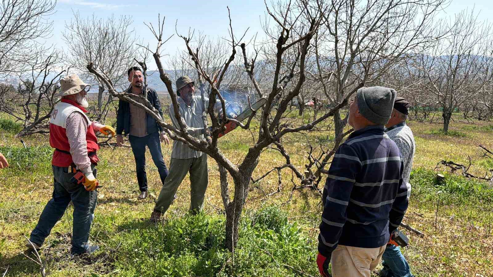 gectigimiz yil yasanan zirai donun etkisi agaclarda suruyor 0 rNuIyjzA