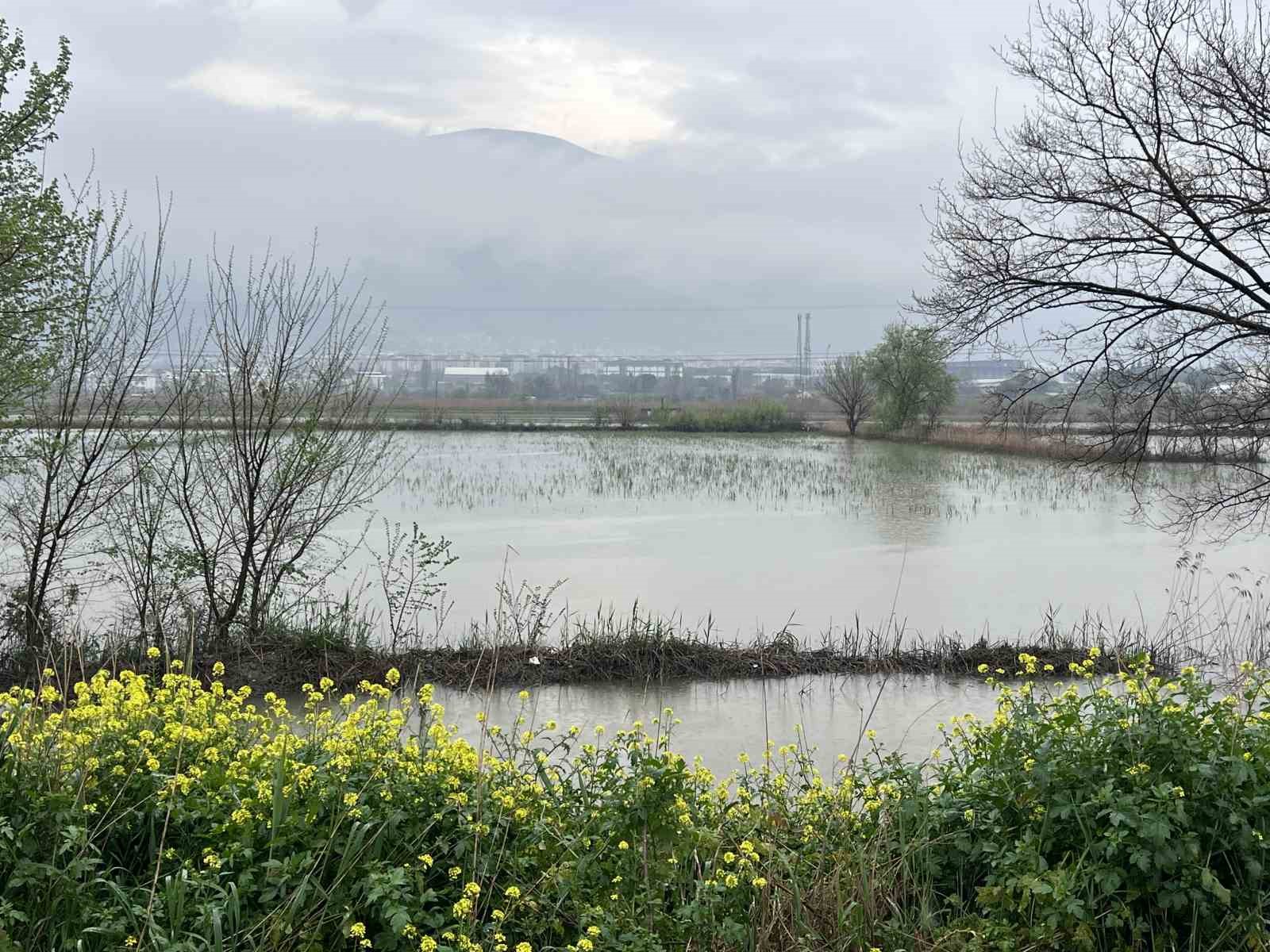 gediz taskini yerlesim alanlarina ulasti 9 AXZl8bEF
