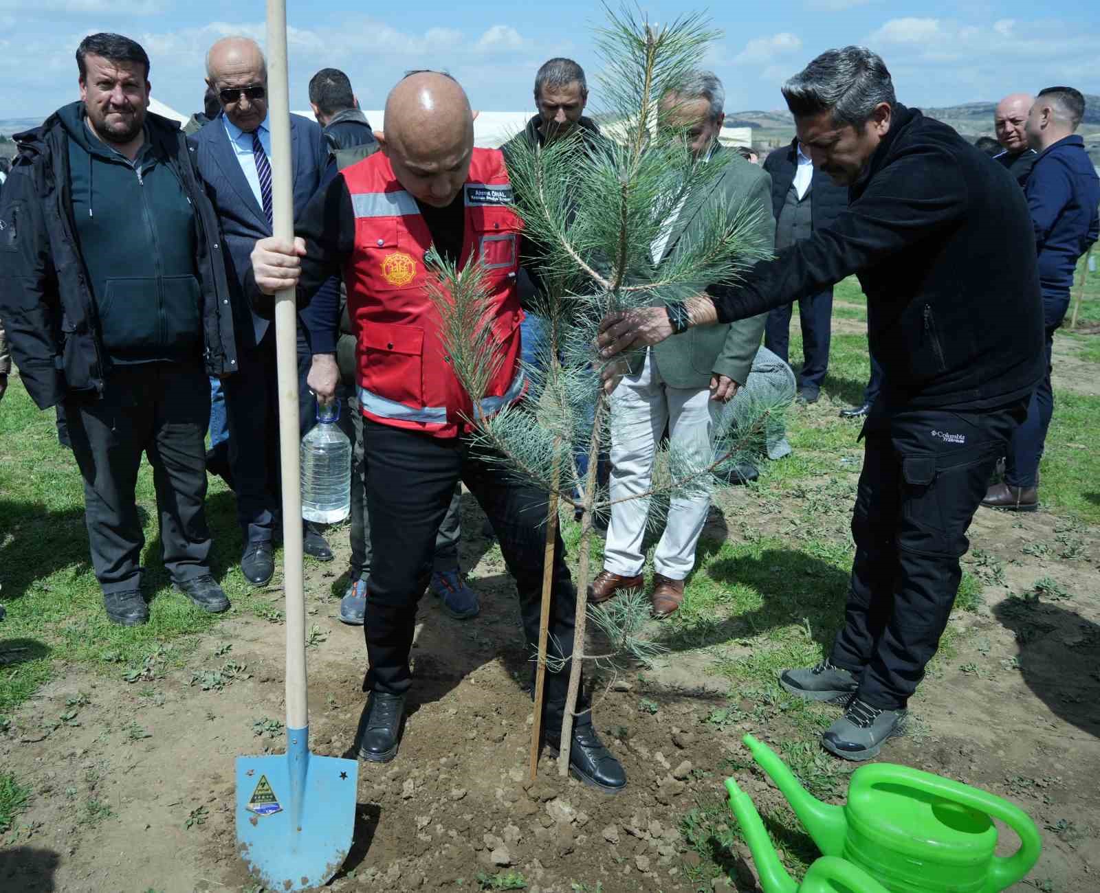 gelecege nefes olacak 2 bin fidan toprakla bulustu 1 YIHvbOM8