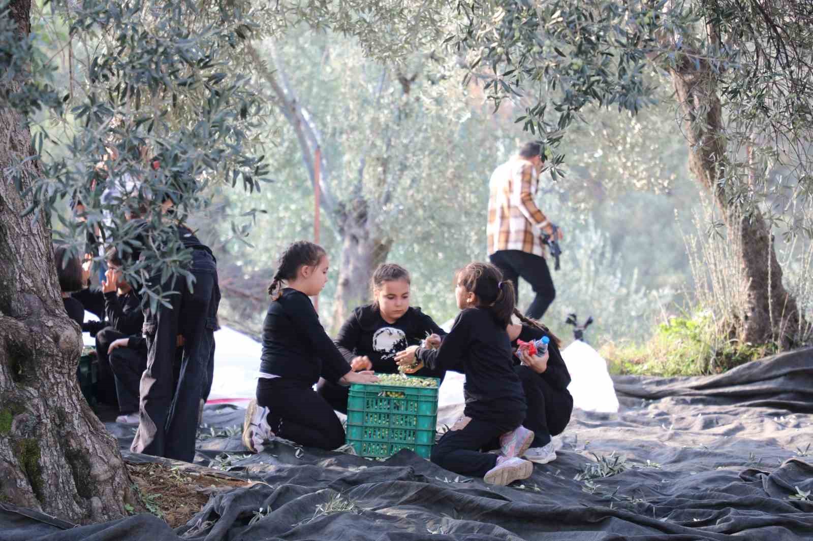 gelecegin ciftcileri zeytin hasadinda 4 QfbHA6yY