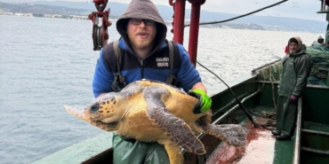 gelibolu-aciklarinda-aglara-takilan-caretta-caretta-denize-geri-salindi-Qyv1USdP.jpg