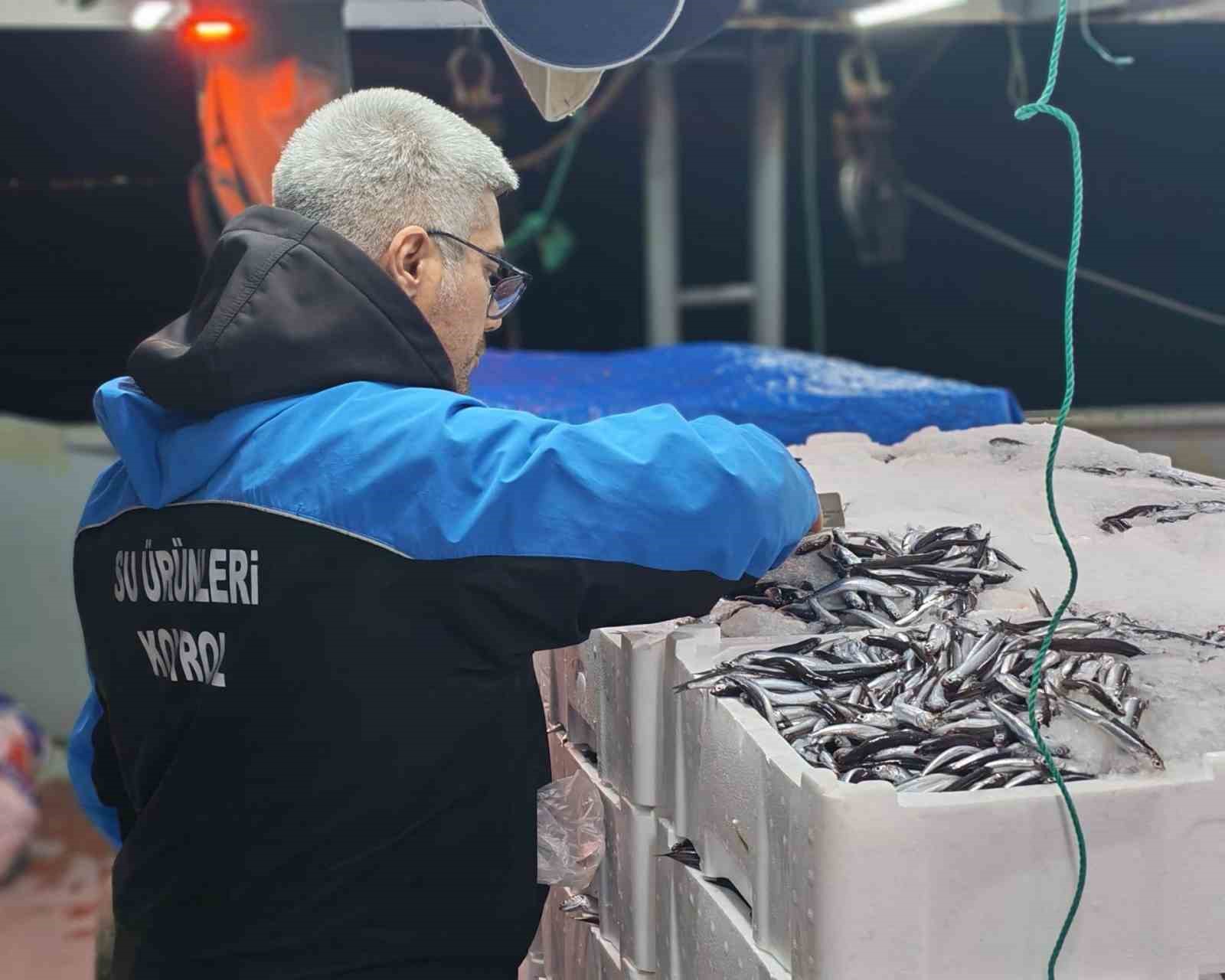 Gelibolu’da 45 kilo balığa el konuldu, 37 bin 770 lira para cezası kesildi 4 geliboluda 45 kilo baliga el konuldu 37 bin 770 lira para cezasi kesildi 0 Qrs9MdkR