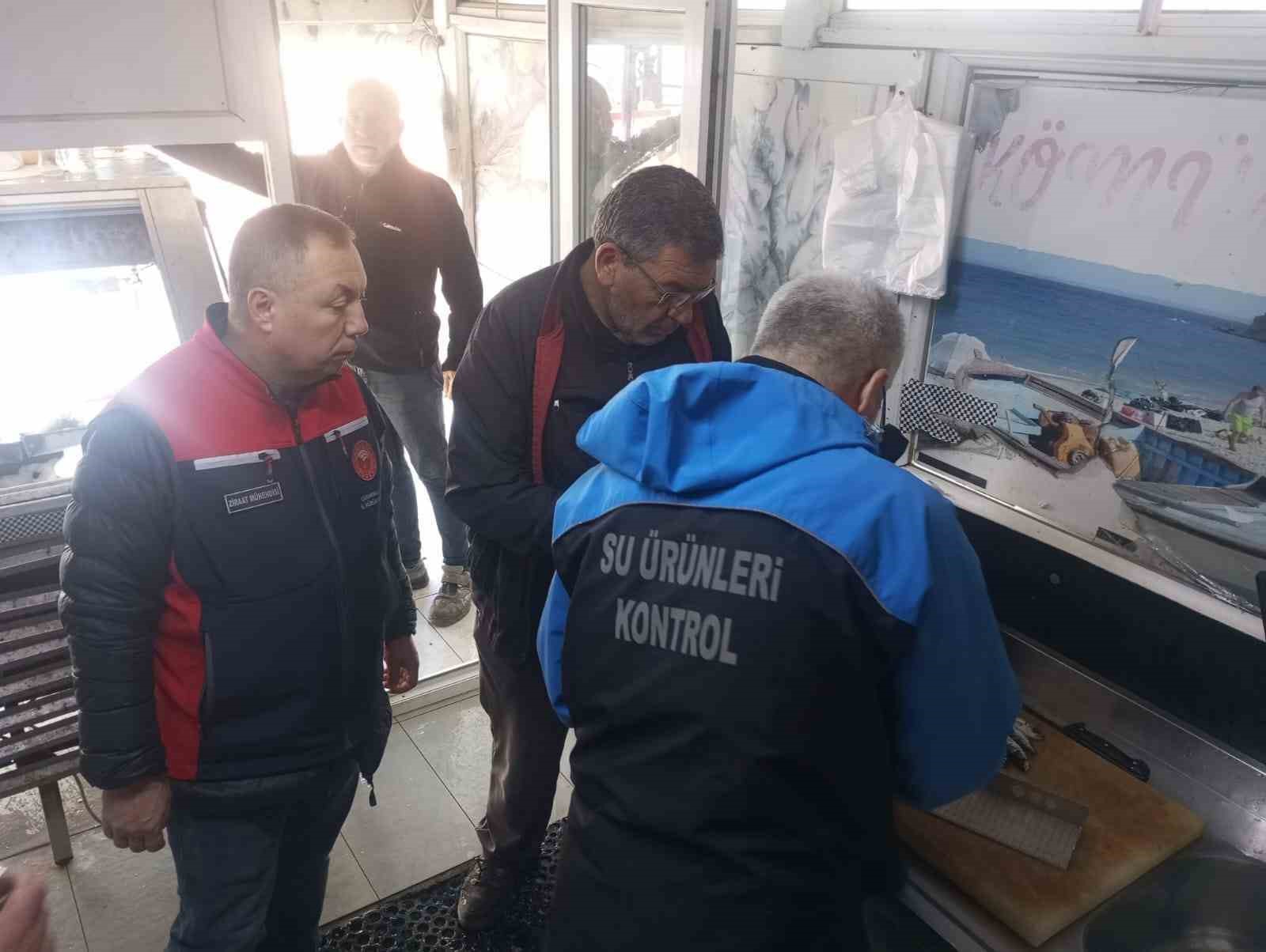 Gelibolu’da 45 kilo balığa el konuldu, 37 bin 770 lira para cezası kesildi 5 geliboluda 45 kilo baliga el konuldu 37 bin 770 lira para cezasi kesildi 1 rP82kYsa