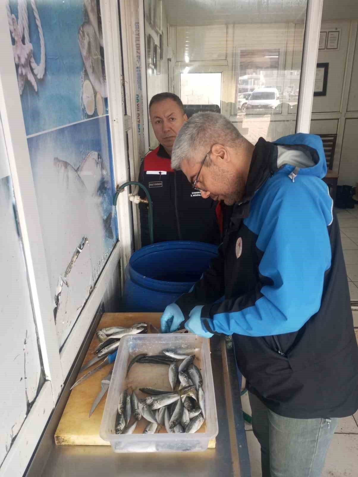 Gelibolu’da 45 kilo balığa el konuldu, 37 bin 770 lira para cezası kesildi 9 geliboluda 45 kilo baliga el konuldu 37 bin 770 lira para cezasi kesildi 5 LjOEe8KW