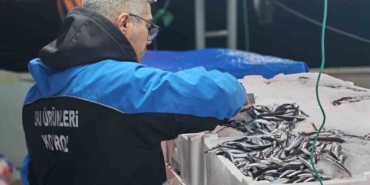 geliboluda-45-kilo-baliga-el-konuldu-37-bin-770-lira-para-cezasi-kesildi-PuLwk4ZO.jpg