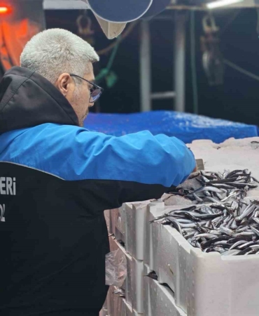 geliboluda-45-kilo-baliga-el-konuldu-37-bin-770-lira-para-cezasi-kesildi-PuLwk4ZO.jpg