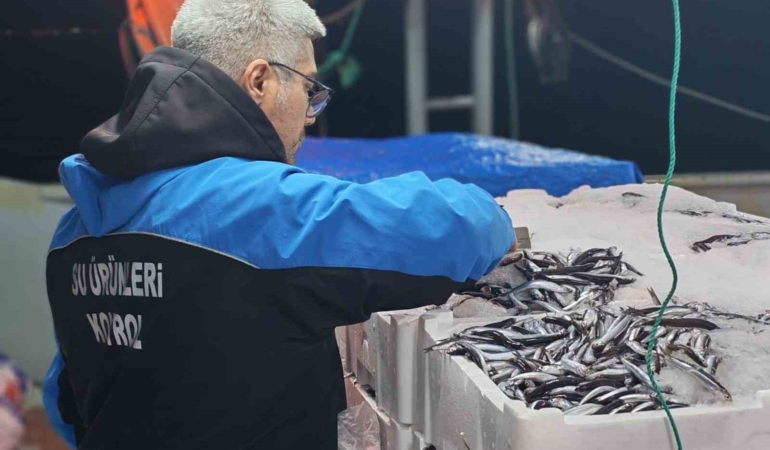 geliboluda-45-kilo-baliga-el-konuldu-37-bin-770-lira-para-cezasi-kesildi-PuLwk4ZO.jpg