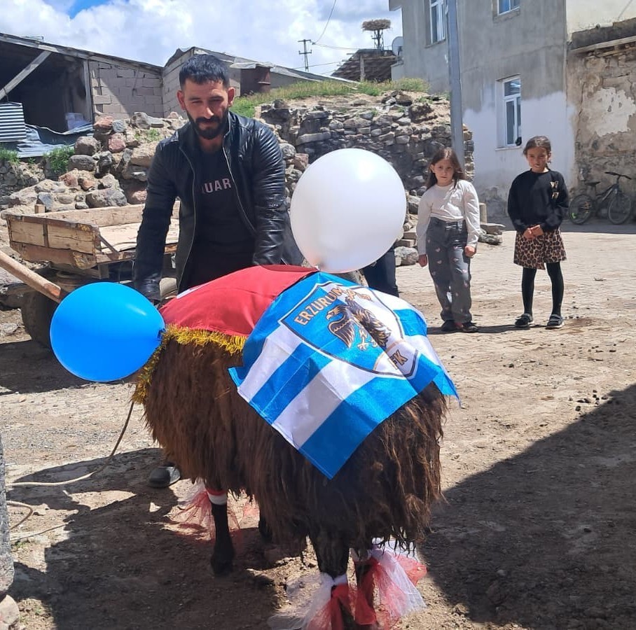 gelin kocu sampiyon erzurumspor bayragi ve mavi beyaz balonlarla suslendi 6 wr8tXRUL