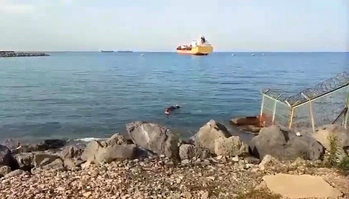gemiden denize dusen angus yuzerek karaya ulasti 0 sZRF7Enc