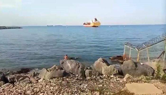 gemiden denize dusen angus yuzerek karaya ulasti 1 b2M6gWjp