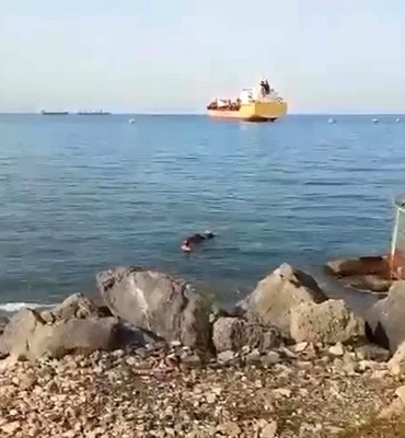 gemiden-denize-dusen-angus-yuzerek-karaya-ulasti-s1iXXXAw.jpg