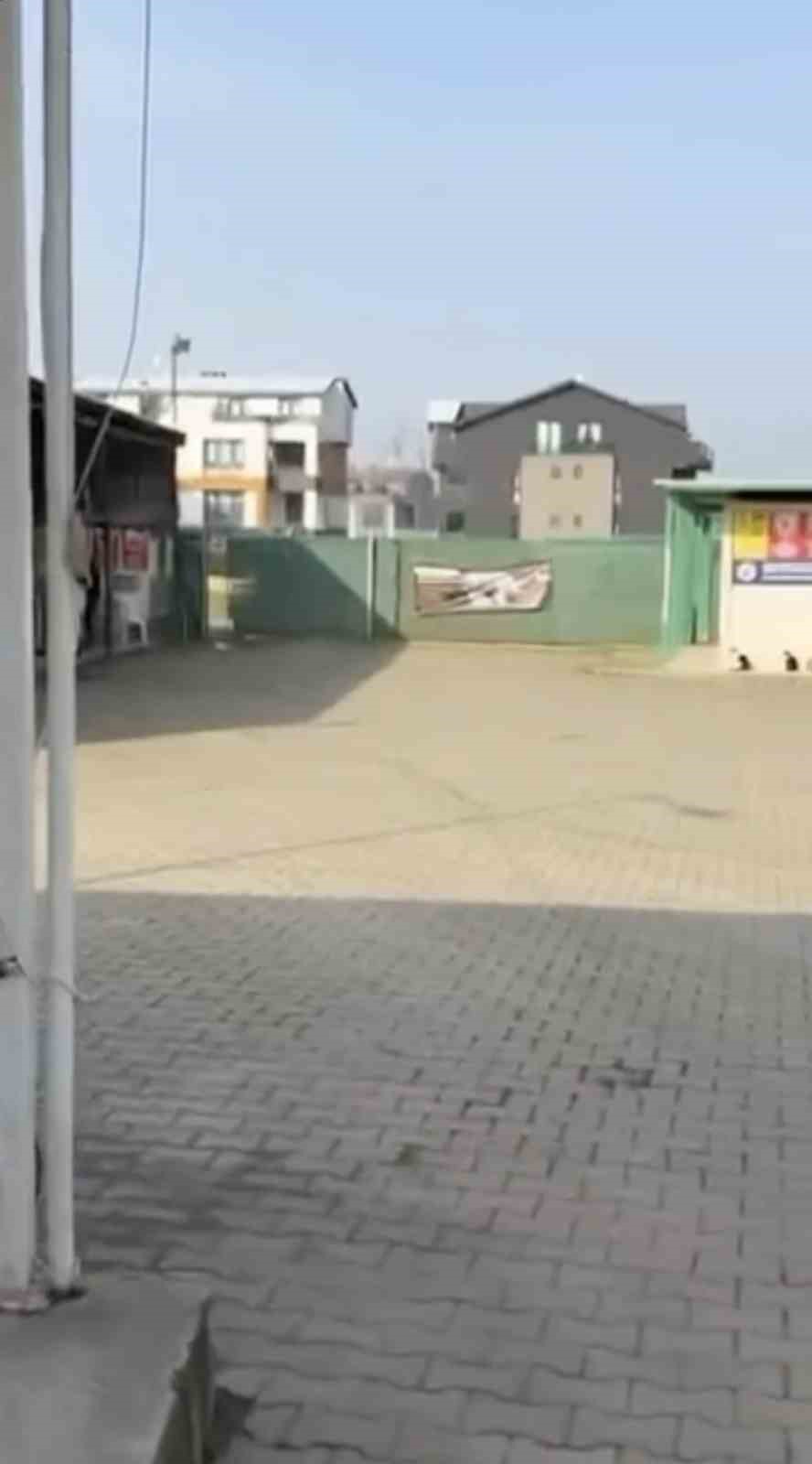 gemlik belediyesinin umurbeydeki barinagini onunde toplanan hayvanseverler iceriye alinmadi 0