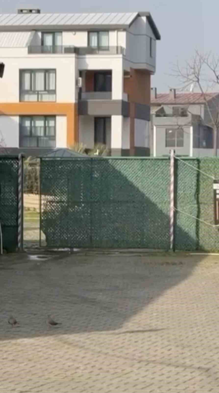 gemlik belediyesinin umurbeydeki barinagini onunde toplanan hayvanseverler iceriye alinmadi 1 ZS4gIqY4
