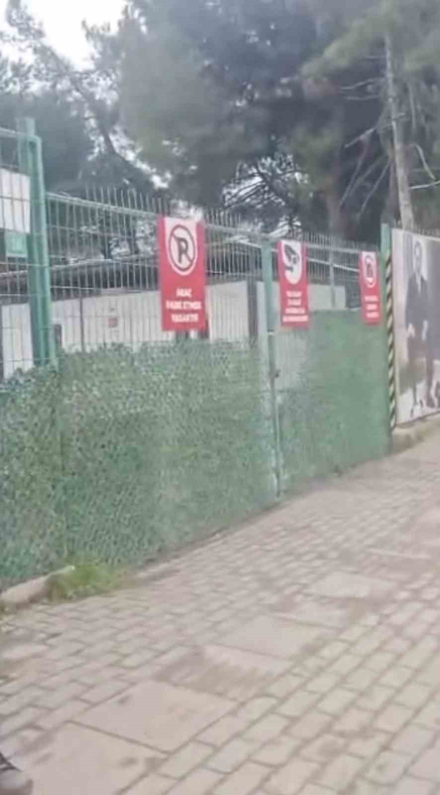 gemlik belediyesinin umurbeydeki barinagini onunde toplanan hayvanseverler iceriye alinmadi 3 6k8aON52
