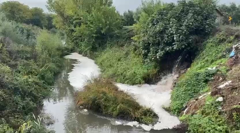gemlik korfezinde kirlilik endiseye yolaciyor 0 wYNmLpkO