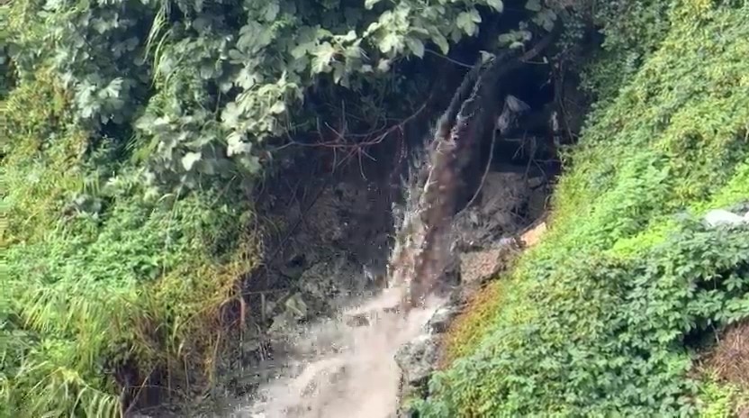gemlik korfezinde kirlilik endiseye yolaciyor 1 dvUMlrDn