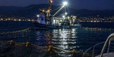 gemlik-korfezinde-sardalya-avciligi-basladi-4OirEQQP.jpg