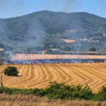 gemlik-serbest-bolge-yakininda-yangin-xOF6sKmH.jpg