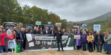 gemlikte-ormanima-dokunma-eylemi-Pgvbmf7B.jpg