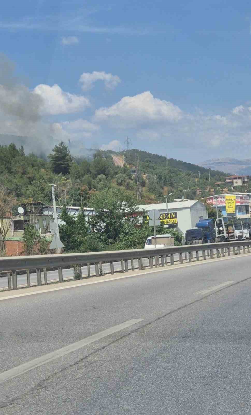Gemlik’te zeytinlik alanda çıkan yangın kontrol altına alındı 6 gemlikte zeytinlik alanda cikan yangin kontrol altina alindi 2 IqBCVwGU