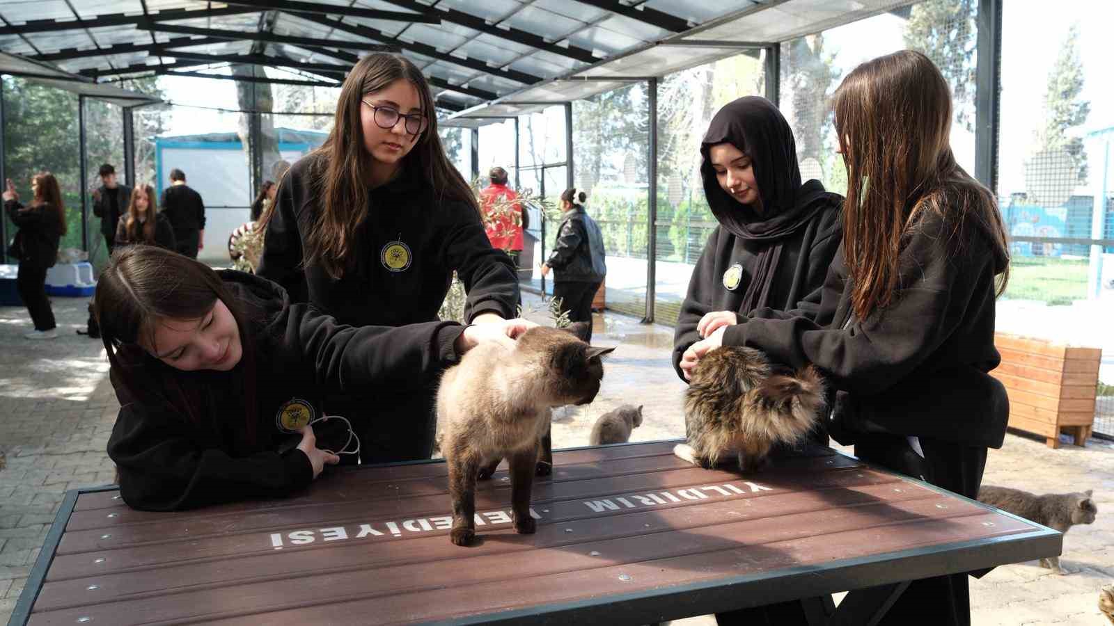 gencerlerden patili canlara ziyaret 0 LCHfOGcA