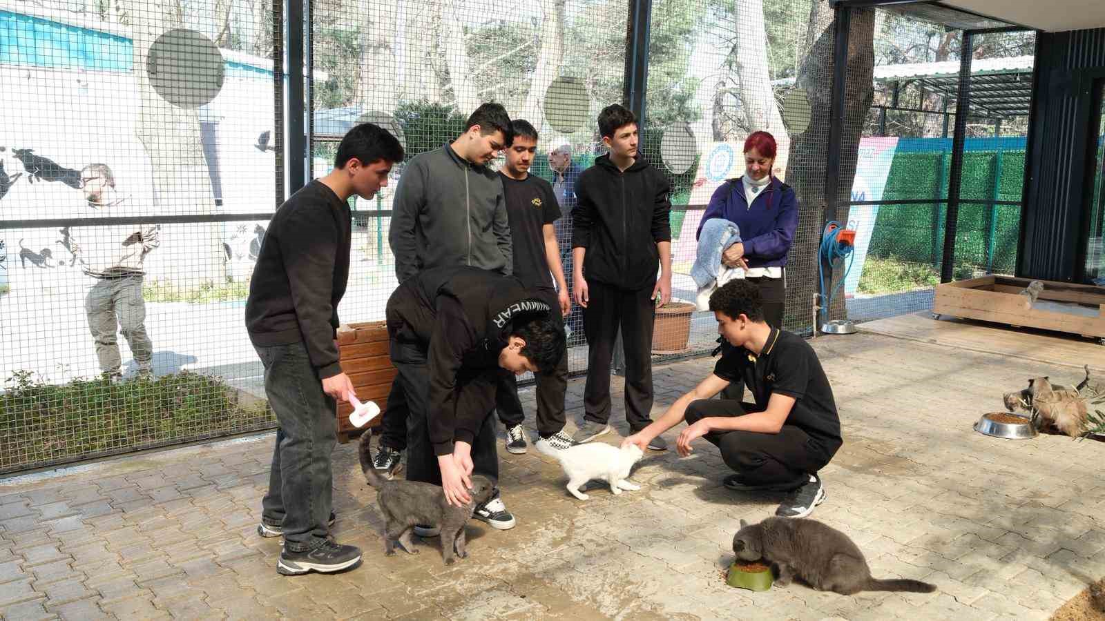 gencerlerden patili canlara ziyaret 1 fz5flQjY