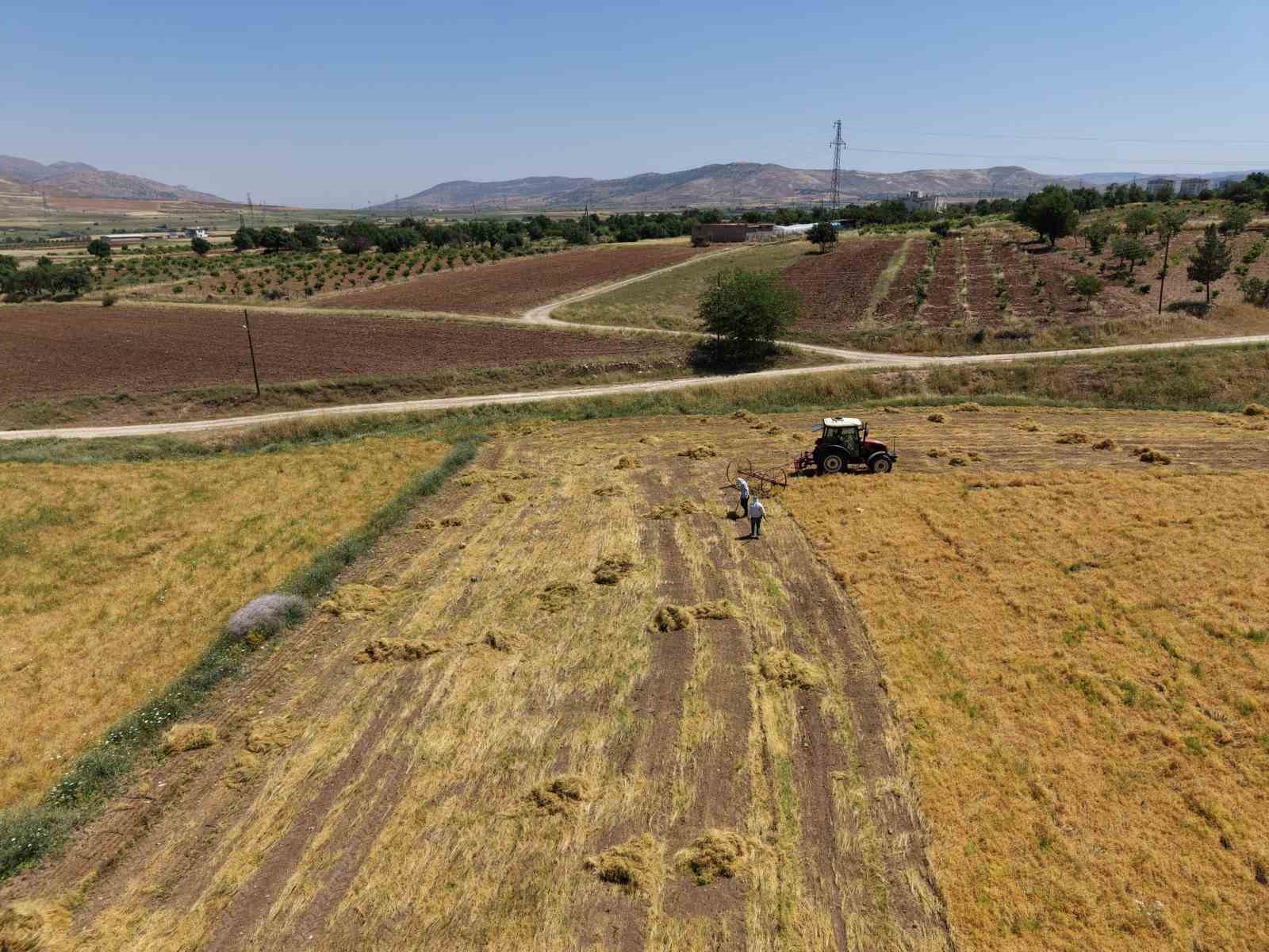Gercüş’te bereketli hasat: Mercimek rekoltesi çiftçinin yüzünü güldürdü 4 gercuste bereketli hasat mercimek rekoltesi ciftcinin yuzunu guldurdu 0 QKj4yn4l
