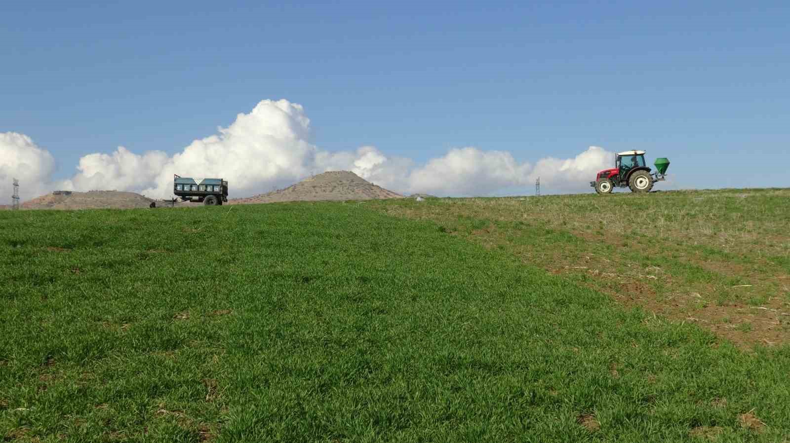 gercuste ciftcilerin bahar mesaisi basladi tarlalar gubreyle bulusuyor 8 GBONXWUj