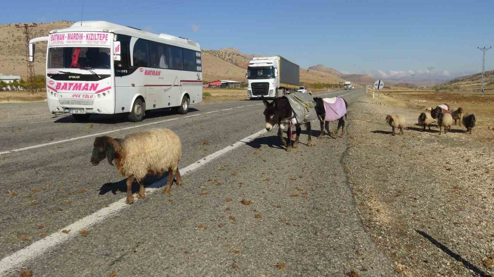 gercuste gocerlerin zorlu yolculugu 3