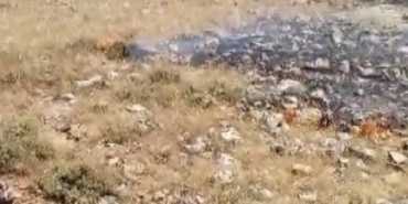 gercuste-korkutan-yangin-koyun-gecim-kaynagi-ekili-alanlar-son-anda-kurtarildi-j1UR4VWN.jpg