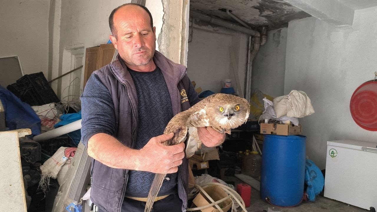 gercuste yarali kizil sahine sefkat eli 1 DR1cZRcF