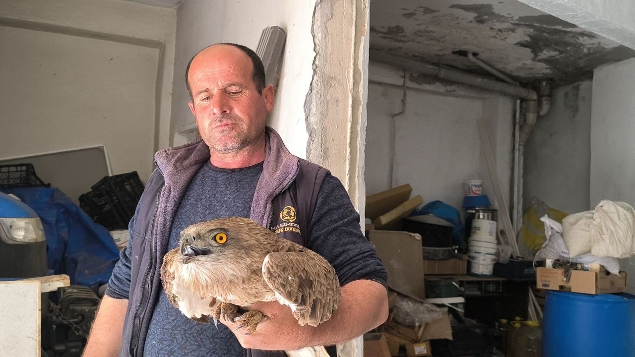 gercuste yarali kizil sahine sefkat eli 3 PaFigOEg