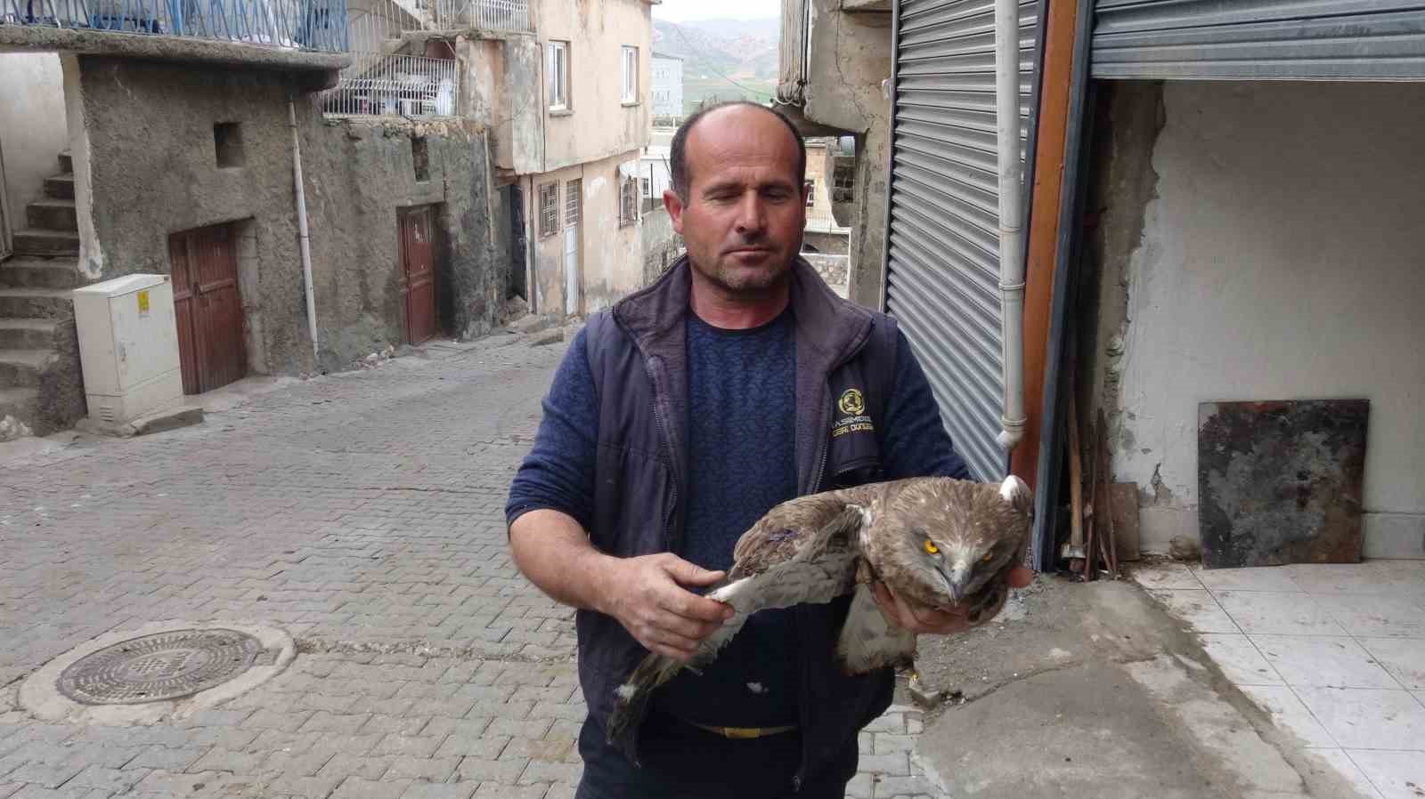 gercuste yarali kizil sahine sefkat eli 5