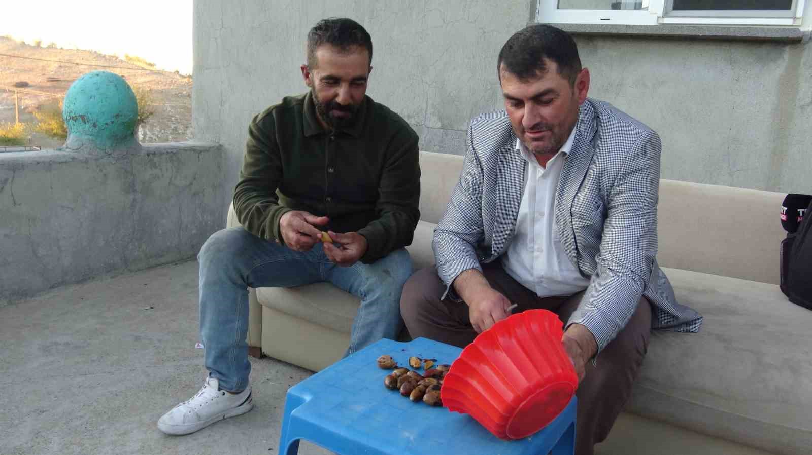 gercusun dogu kestanesi organik mese palamudu kis sofralarinin vazgecilmezi oluyor 2 qtlkwZ3b