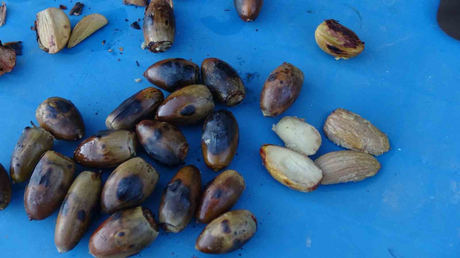 gercusun dogu kestanesi organik mese palamudu kis sofralarinin vazgecilmezi oluyor 3 5mSHcCKU