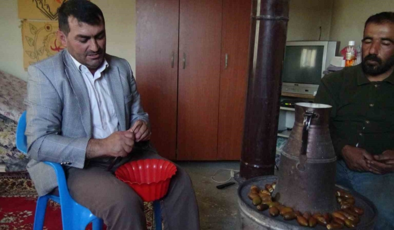 gercusun-dogu-kestanesi-organik-mese-palamudu-kis-sofralarinin-vazgecilmezi-oluyor-GpMQayY9.jpg