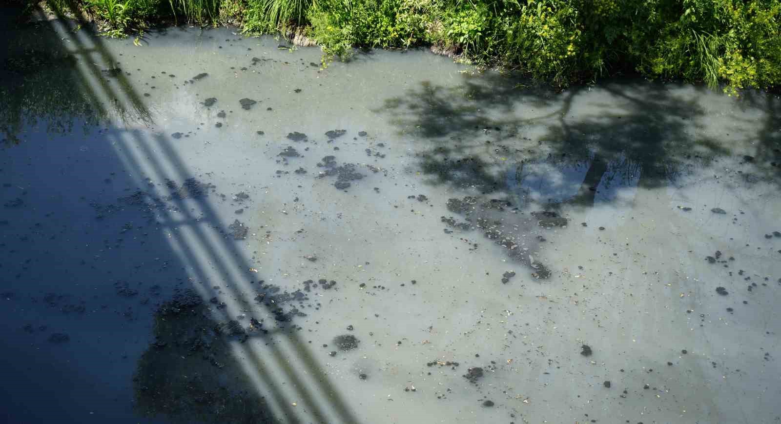 geredede fabrikalarin zehrini kustugu derenin yeniden davasi gorulecek 1