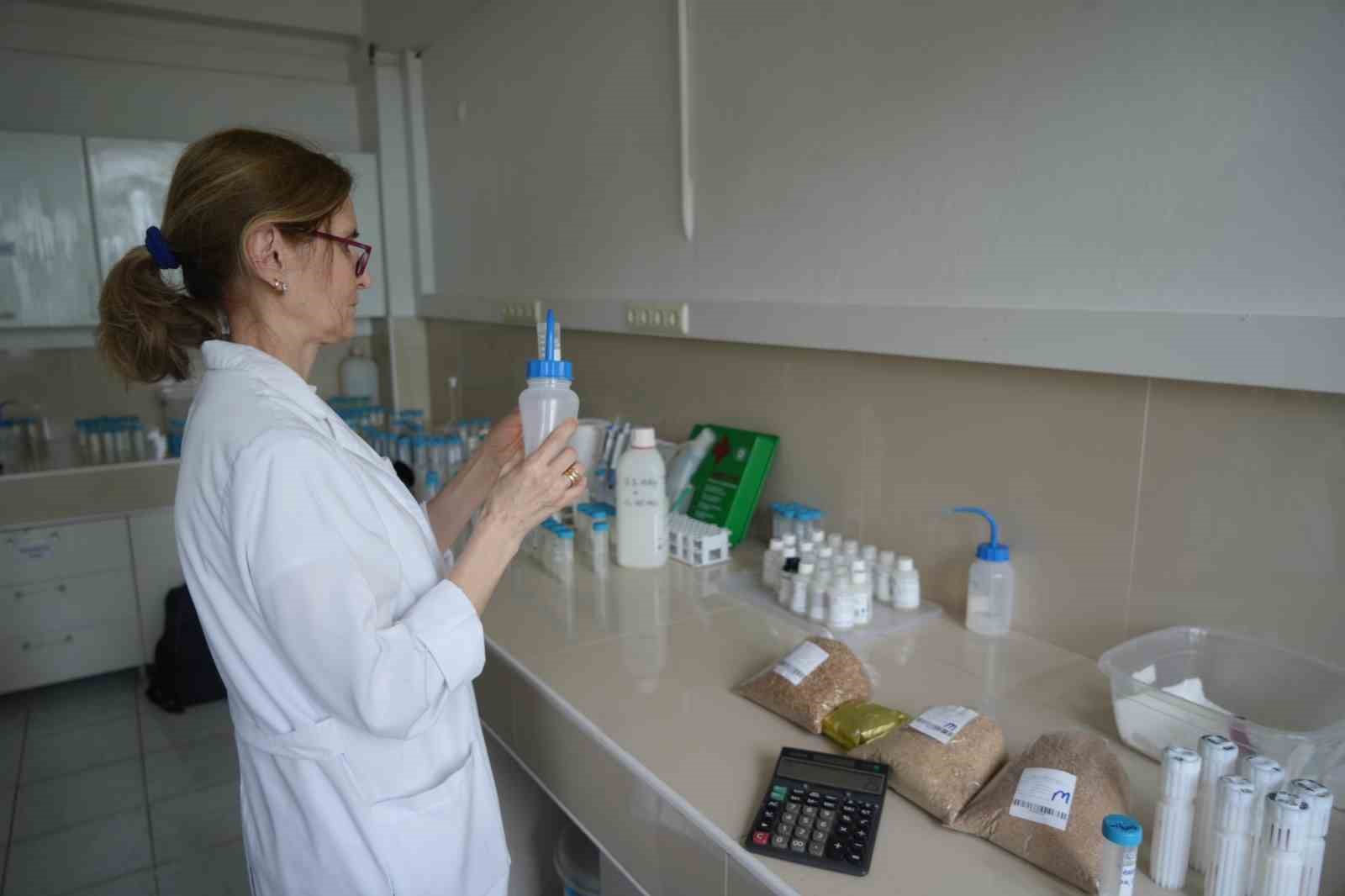 gidalar sofraya gelmeden mercek altinda 552 bin parametre kontrol ediliyor 3 8DGSA2Rp