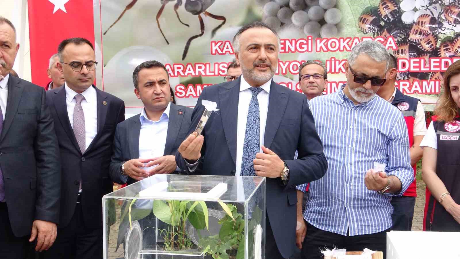 giresunda kahverengi kokarcaya karsi 130 bin samuray arisi dogaya salindi 0 PtVHT9Sm