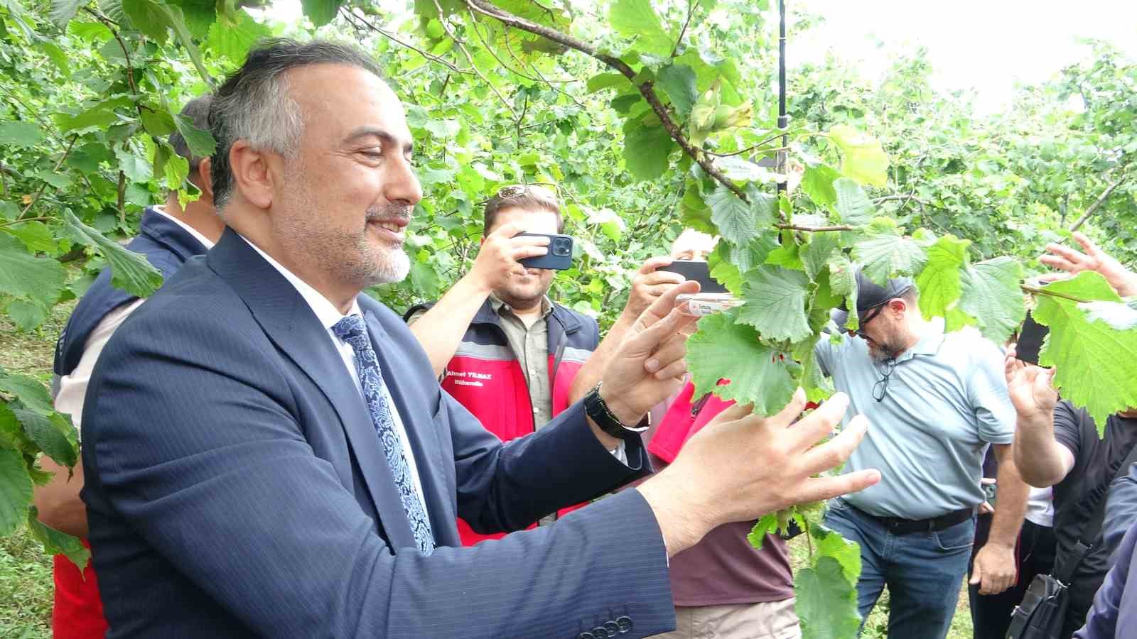giresunda kahverengi kokarcaya karsi 130 bin samuray arisi dogaya salindi 1 BmZnHKQs