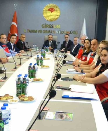 giresunda-kahverengi-kokarcaya-karsi-130-bin-samuray-arisi-dogaya-salindi-SIimVzbk.jpg
