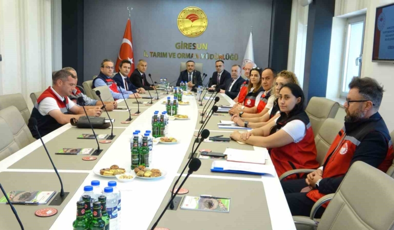 giresunda-kahverengi-kokarcaya-karsi-130-bin-samuray-arisi-dogaya-salindi-SIimVzbk.jpg